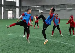 宝威体育下载-埃弗顿青训梯队获连胜，潜力球员崭露头角的简单介绍